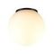 Потолочный светильник Odeon Light NATURE 7124/1C