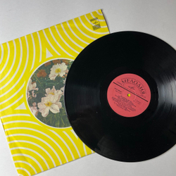 Винтажная виниловая пластинка LP Здравствуй, Песня Мы Любим Диско (СССР 1981)