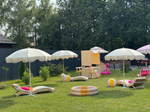 Flamingo Summer Party