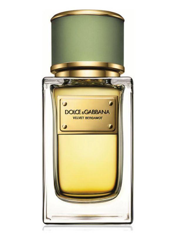 Dolce and Gabbana Velvet Bergamot