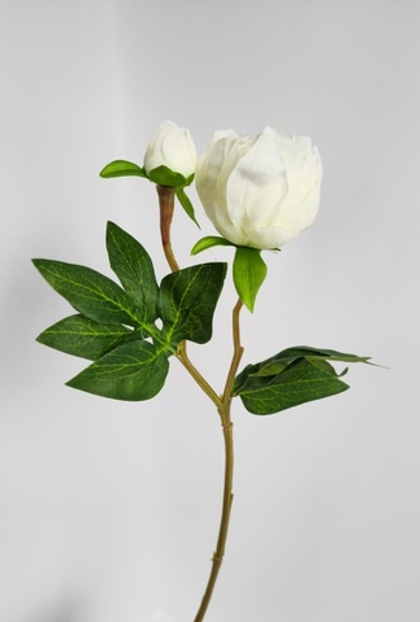 Бутон пиона / Арт 2215