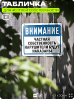 Табличка для частной территории "Частная собственность, нарушители будут наказаны", на дом, для участка, организаций, предупреждающая, 40х30 см, Silver Plane x Айдентика Технолоджи