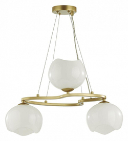Подвесная люстра Odeon Light 4873/3