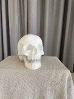 Статуэтка - Скульптура Череп для интерьера и декора