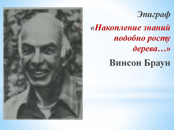 Модель "Строение челюсти человека"