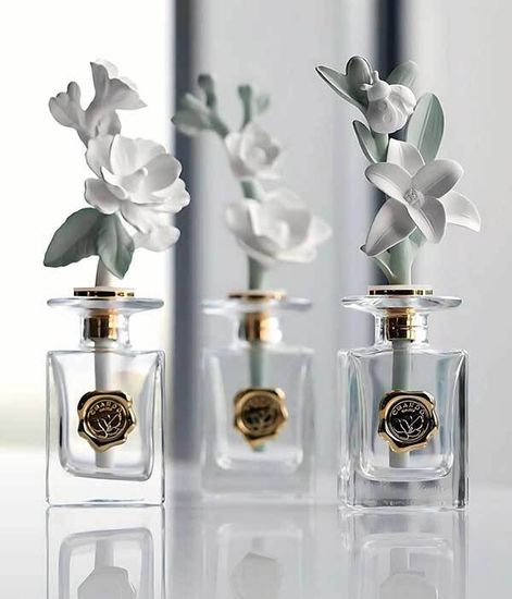 Fantasy Gardenia, ароматический диффузор с необычными палочками, Chando