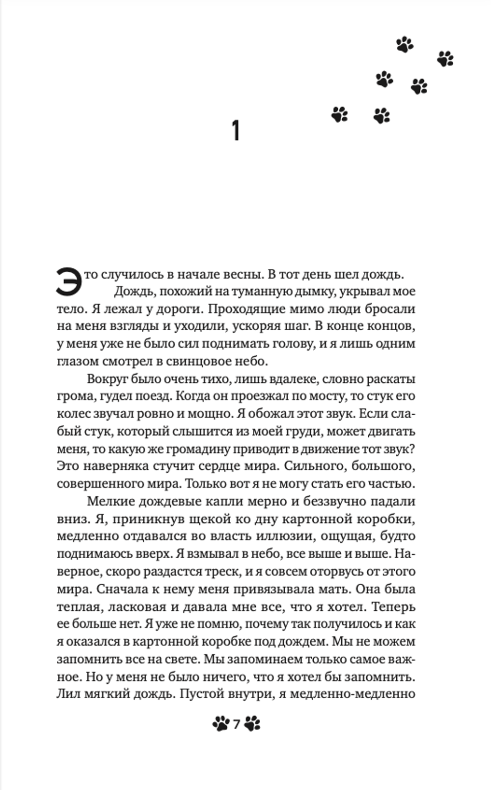 Книга Она и ее кот