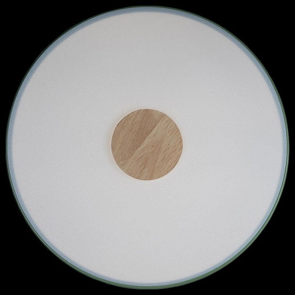 Накладной светильник Loft it Axel 2 10003/24 Green