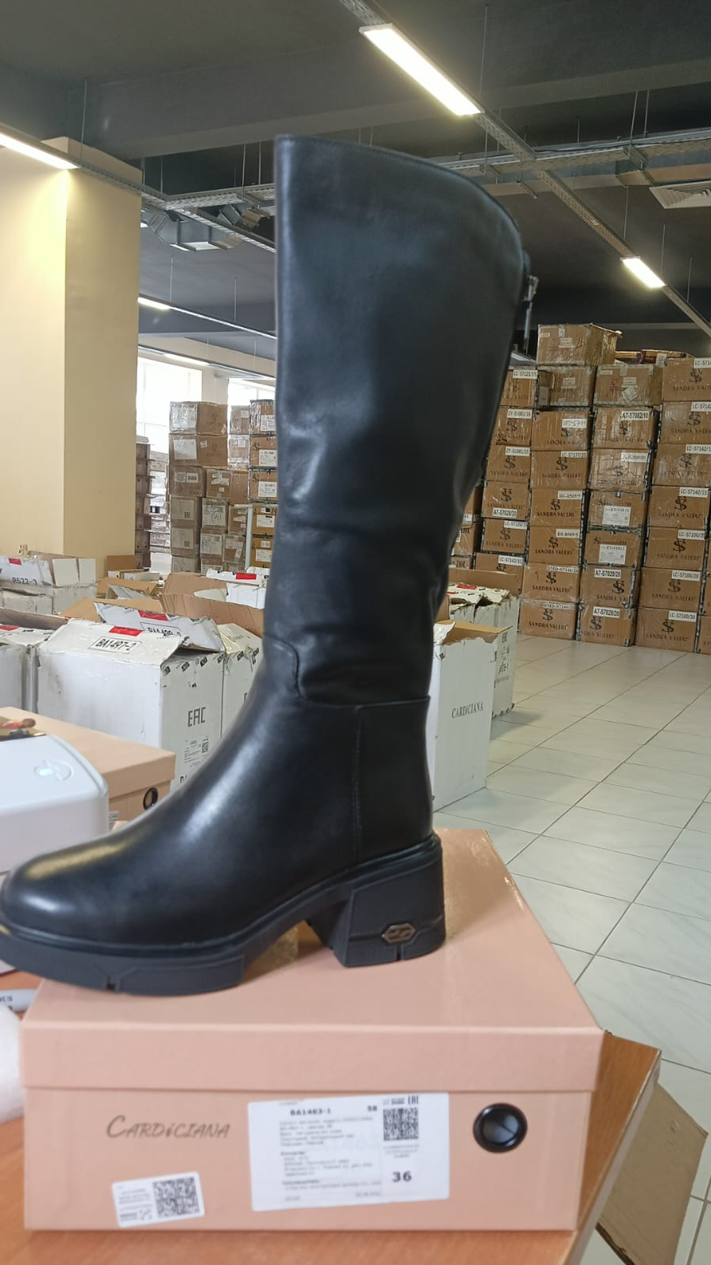 Сапоги женские зимние CARDICIANA BA1463-1