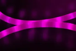 Дюралайт светодиодный 2-х проводной, диаметр 13 мм., 220В, розовые LED лампы 36 шт на 1 м., бухта 100 м., матовый, статика, Teamprof (TPF-DL-2WHM-100-240-P)