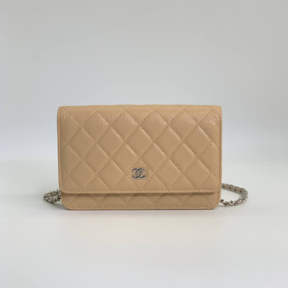 Сумка CHANEL 19 см