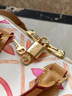 Louis Vuitton Speedy Bandouliere 25