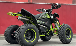 Квадроцикл PROMAX RAPTOR 300 AIR Monster