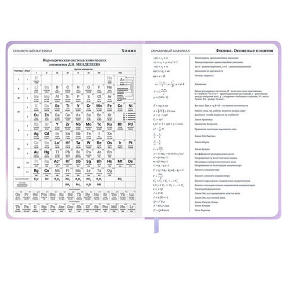 Дневник 1-11 класс 48 л., обложка кожзам (твердая с поролон), 3D-элемент, BRAUBERG, "Суровый кот", 107221