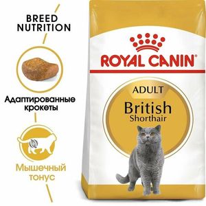 Уценка! Срок до 05.2024/ Корм для кошек, Royal Canin British Shorthair Adult, для кошек породы британская короткошерстная и породы шотландская вислоухая в возрасте от 1 года и старше