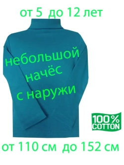 Водолазка с небольшим начёсом