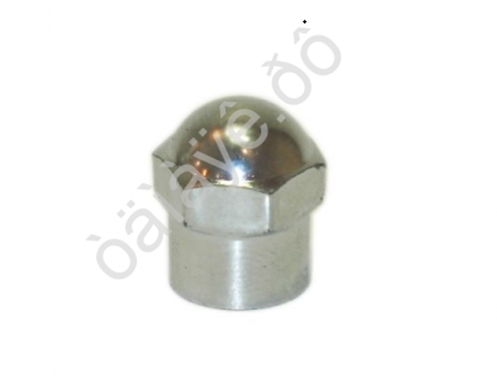 Колпачок камеры пластик ХРОМ  (уп20шт) 210513