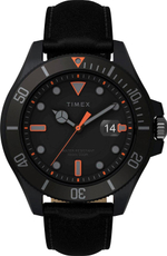 Мужские наручные часы Timex TW2V42300