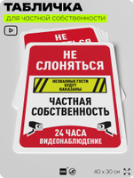Табличка для частной территории "Не слоняться, частная собственность", на дом, для участка, организаций, предупреждающая, 40х30 см, Silver Plane x Айдентика Технолоджи