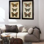 Постер Три бабочки 51х82 см