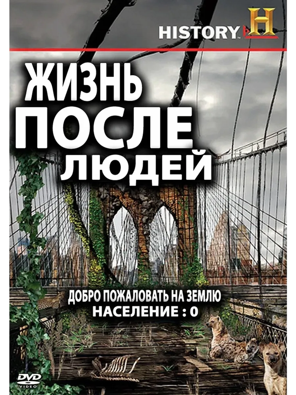 Жизнь после людей, 1 сезон (2009) (КИНО USB)