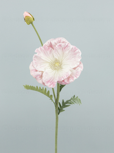 Мак Гигант розовый