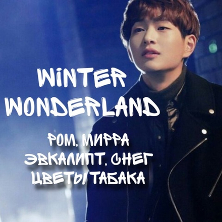 Shinee - "Winter Wonderland"