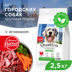 Корм сухой для взрослых собак крупных пород, премиум полнорационный комплекс, для городских собак, с ягненком, 2,5 кг, QUATTRO