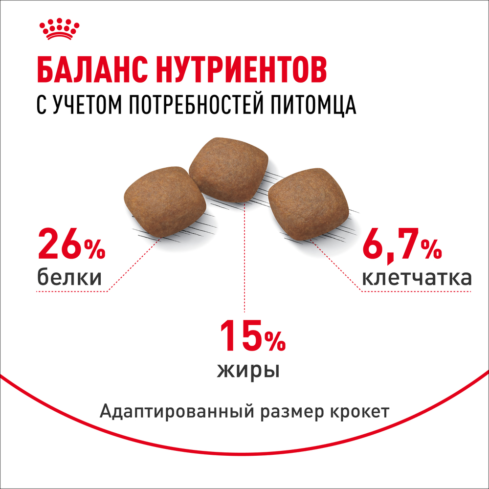 Royal Canin Maxi Joint Care Макси Джойнт кэа Корм сухой для взрослых собак крупных размеров с повышенной чувствительностью суставов 3кг