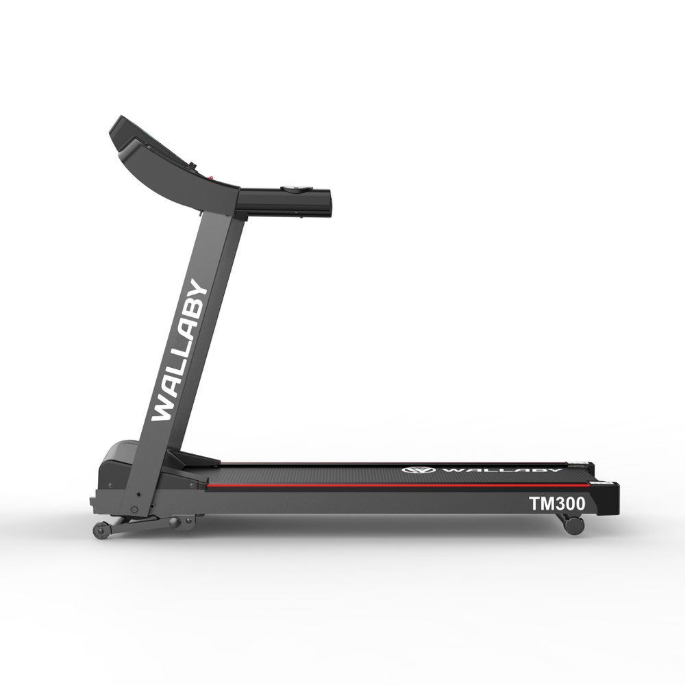 Беговая дорожка для дома электрическая Wallaby TM300
