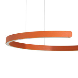 10025/600 Orange Подвесной светильник LOFT IT Ring