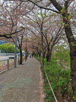 Товар с обоими описаниями