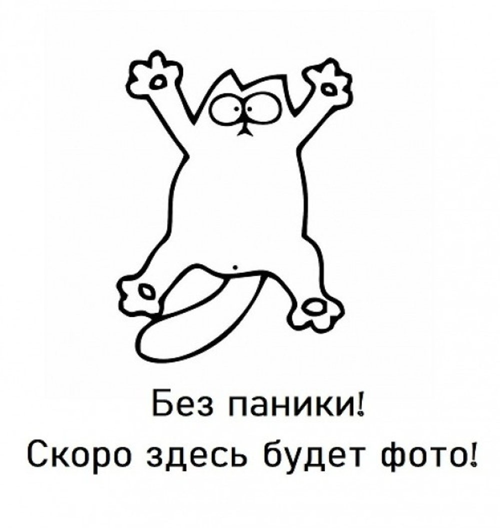 Дверь-купе ARISTO Slim Line, зеркало, профиль белый глянец