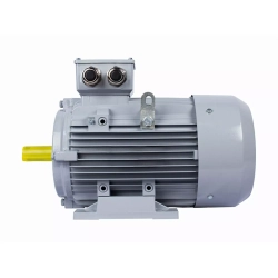 Электродвигатель ESQ PR 160 L6-SDN-Б1-S12-IE2 11/1000 IMB3