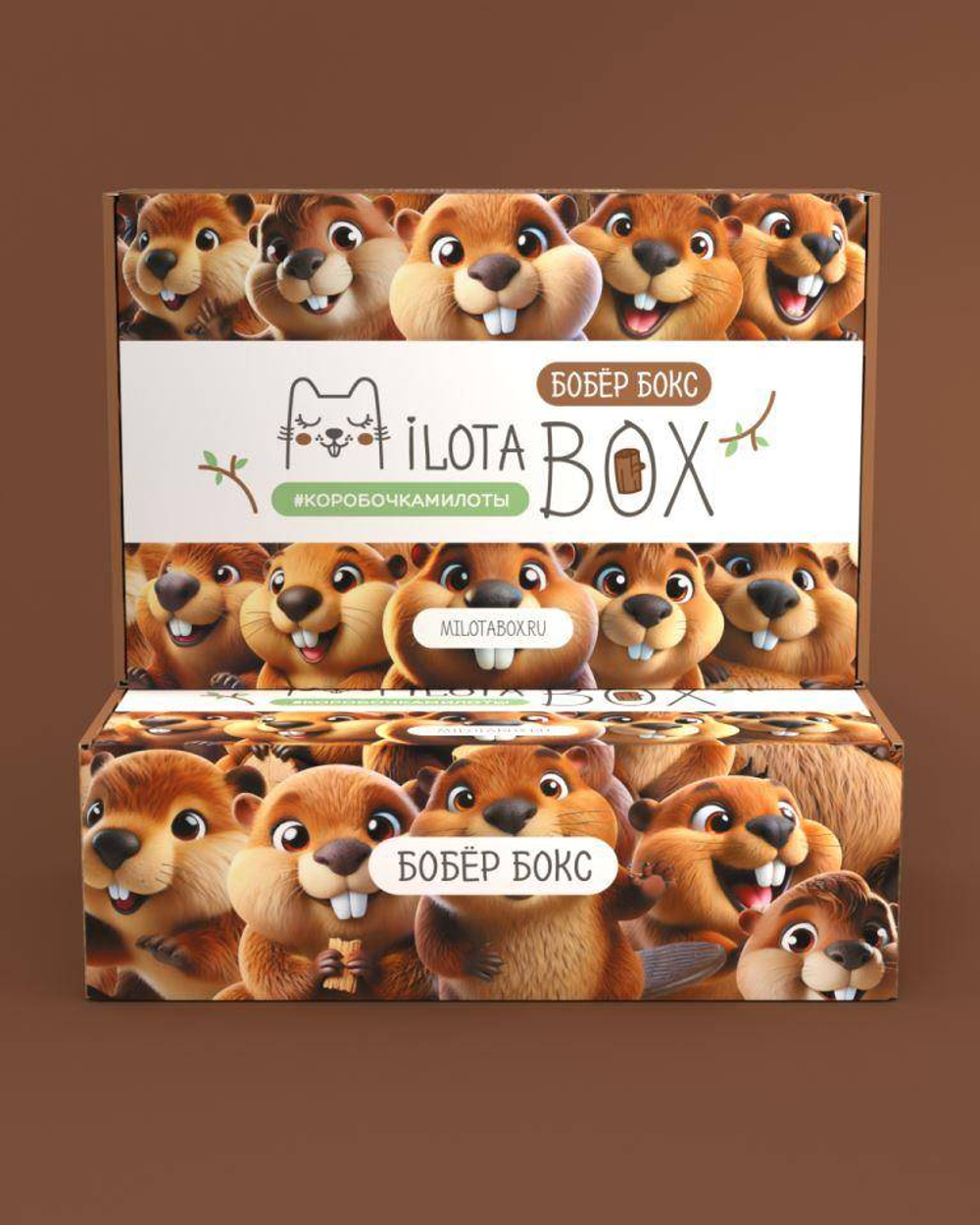 MilotaBox "Бобёр Бокс"