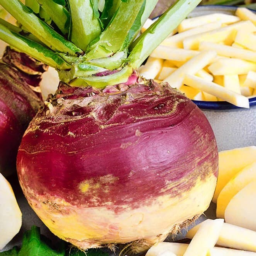 Брюква Гера 0,5г Ц Поиск