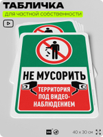 Табличка для частной территории "Не мусорить", на дом, для участка, организаций и частных территорий, предупреждающая, 40х30 см, Silver Plane x Айдентика Технолоджи