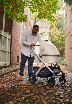 Коляска UPPAbaby Vista V2 2 в 1 Declan
