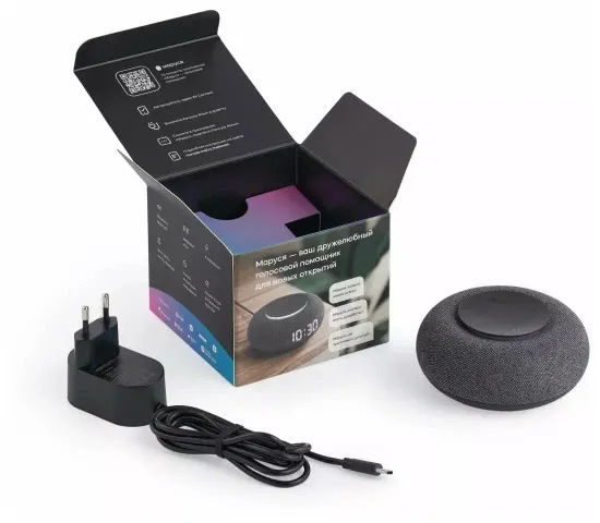 Умная колонка VK Капсула мини (с часами), тёмная серая