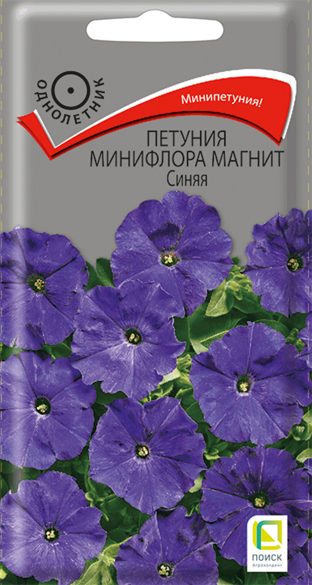 Петуния минифлора Магнит Синяя