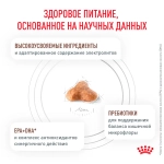 Сухой корм для взрослых кошек с лишним весом Gastrointestinal Royal Canin 400г