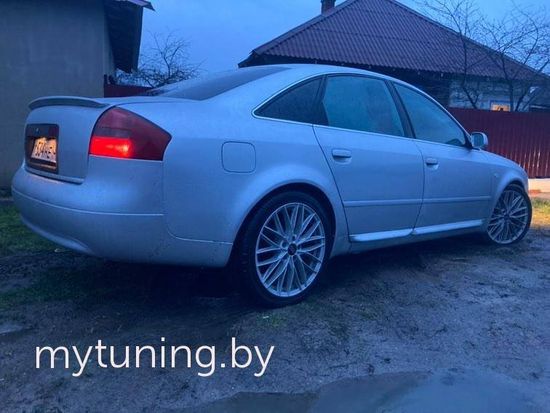Листва (молдинги) на двери RS для Audi A6 S6 C5