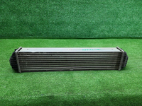 Интеркулер Hongqi HS5 (2019-н.в.)