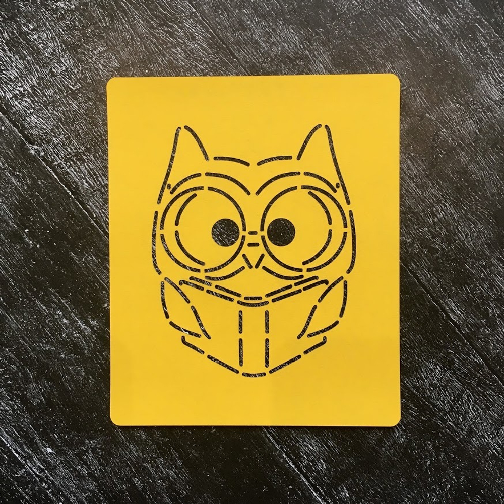 Сова №10 С книгой