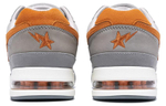 A Bathing Ape Road Sta