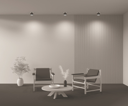 Потолочный светильник Technical C009CW-L12B