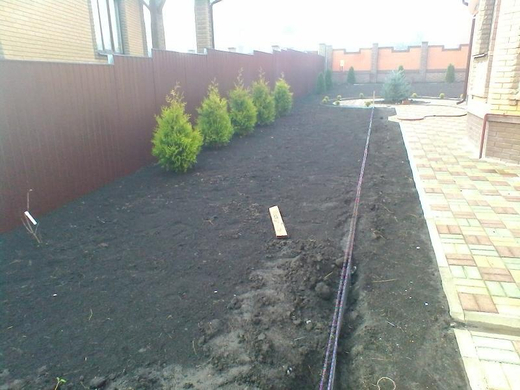 Посадка растений