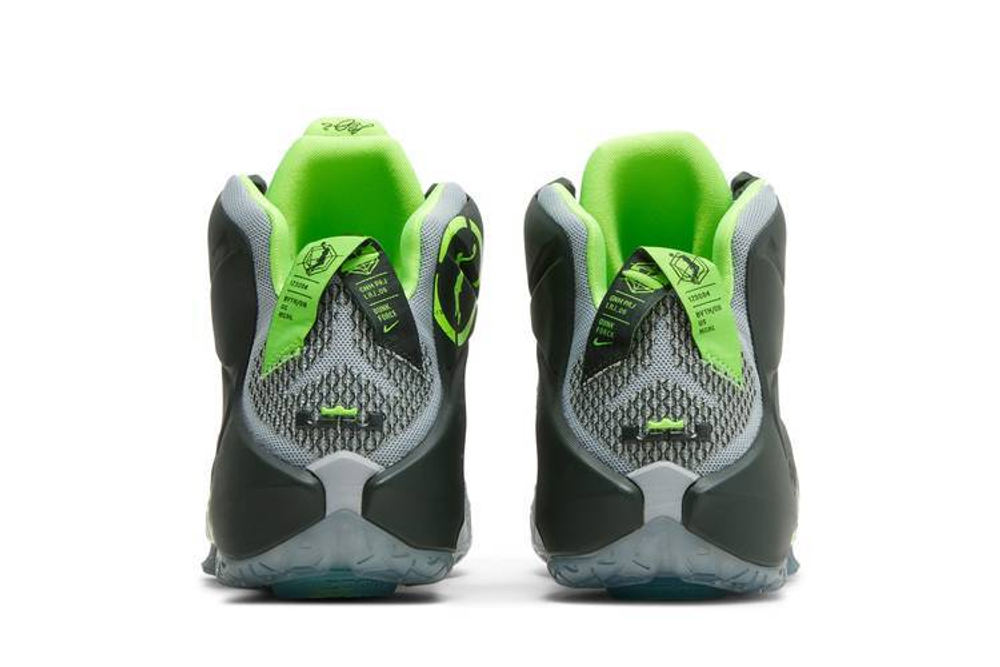 Кроссовки Nike Lebron 12 Dunk Force 12
