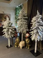 ель на ножке, Тароко, заснеженная