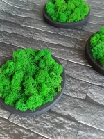 Панно из мха набор 3 шт.